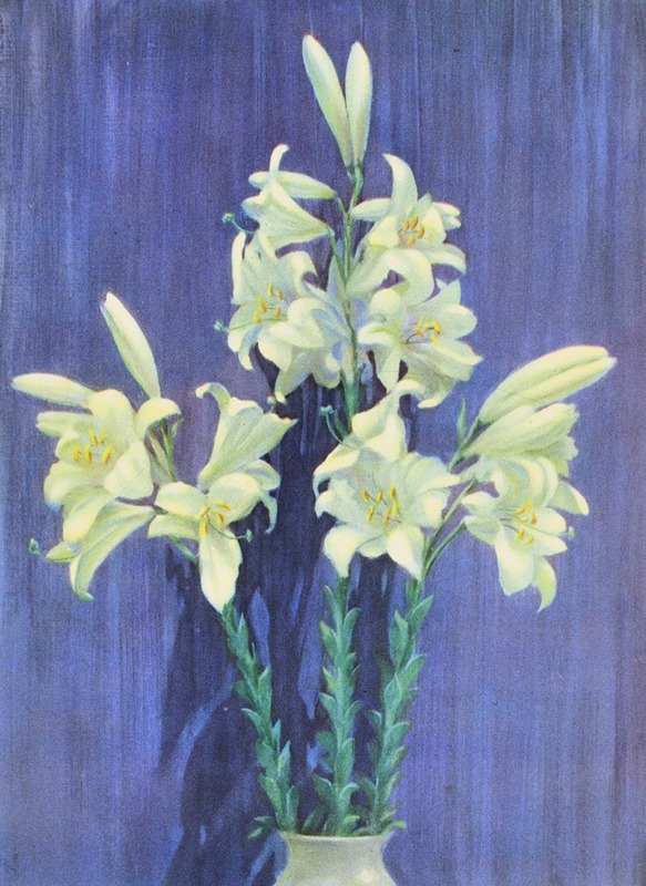 Lafayette F. Cargill - Madonna Lily