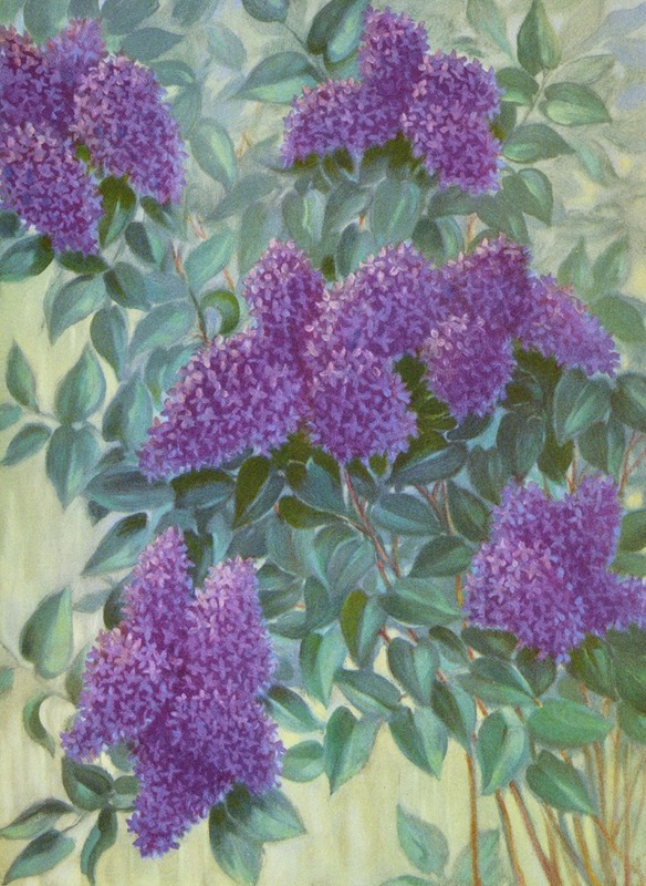 Lafayette F. Cargill - Purple Lilac