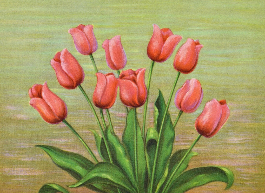 Lafayette F. Cargill - Red Tulip