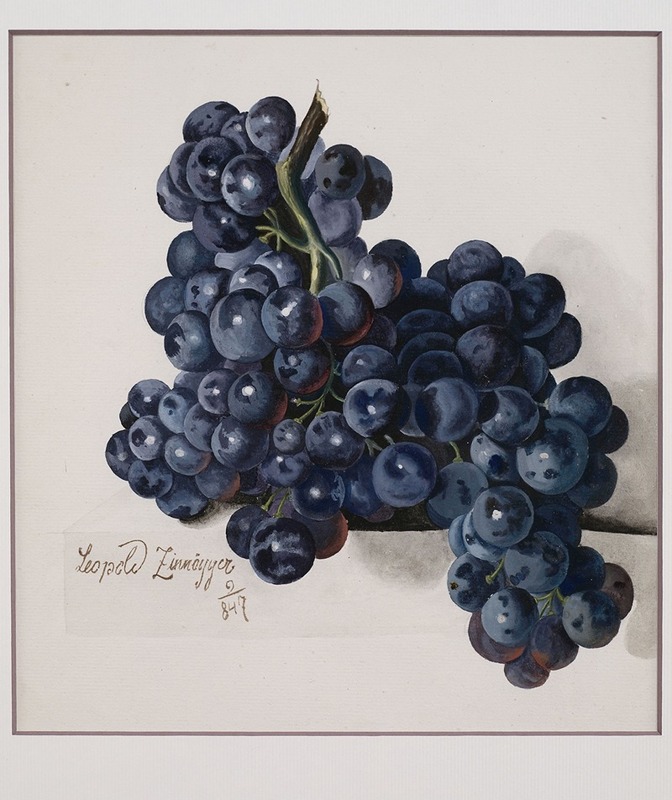 Leopold Zinnögger - Grapes