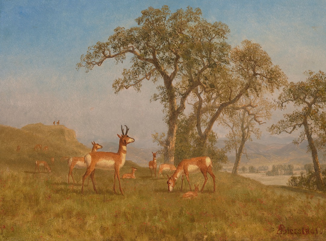 Albert Bierstadt - Grazing Antelope