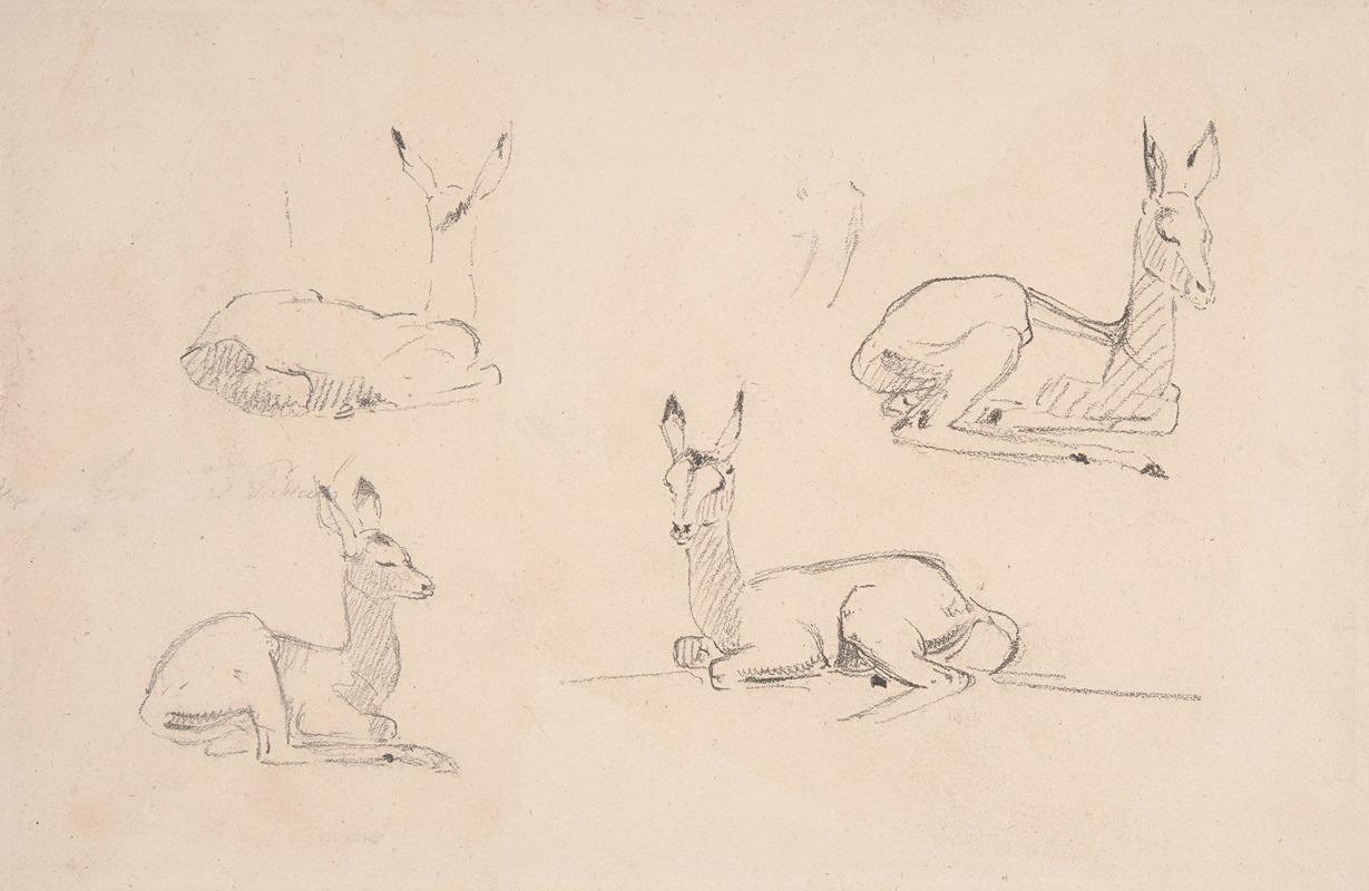 Samuel Daniell - Studies of Pallah Deer Resting