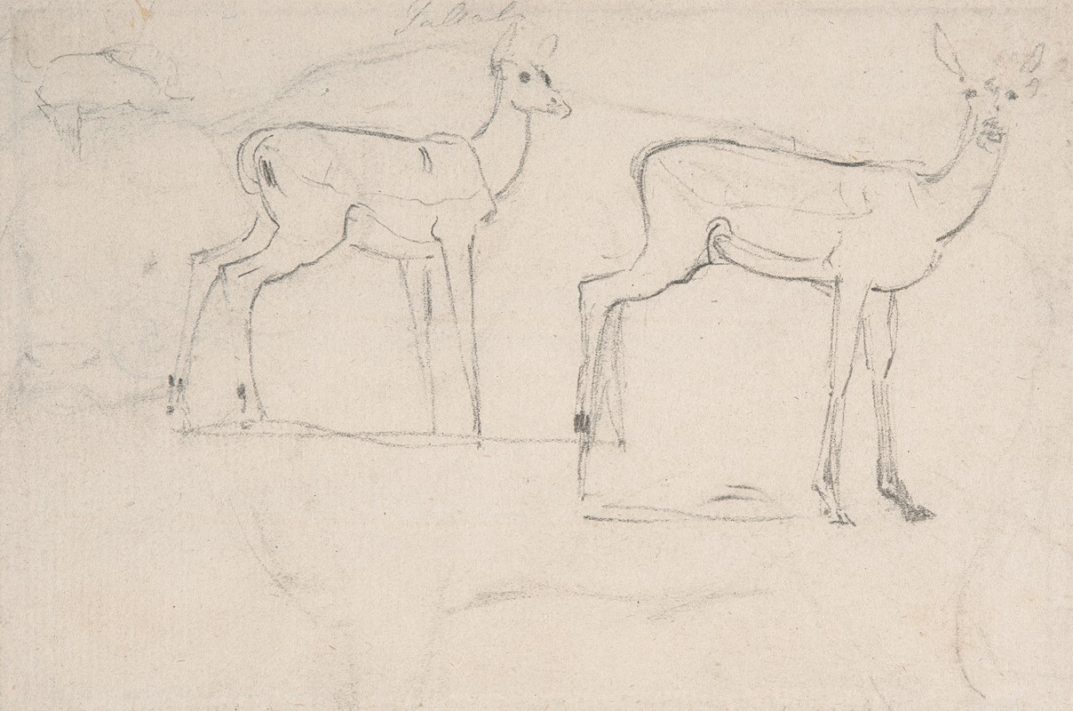 Samuel Daniell - Study for Two Standing Pallah Deer