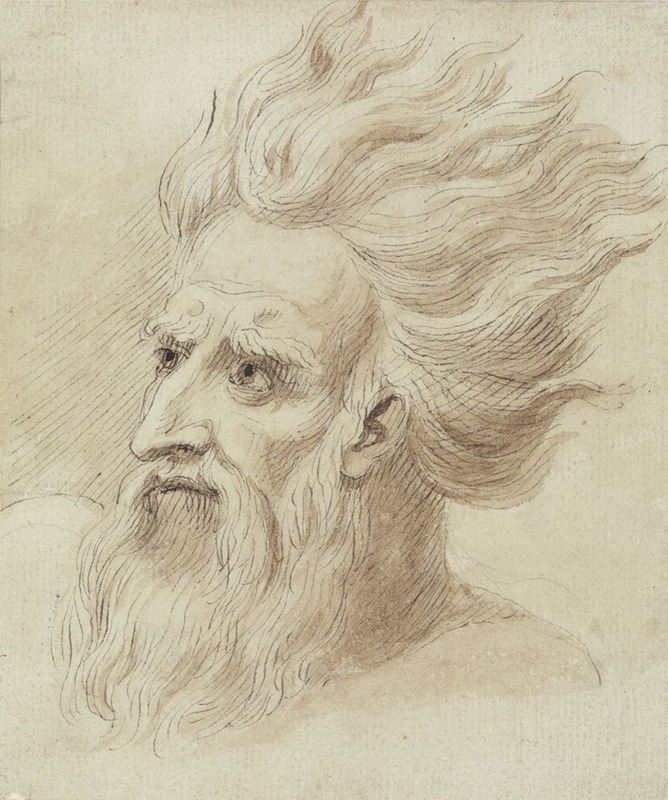 Samuel de Wilde - Head of a Man with a Beard and Long Hair in the Wind