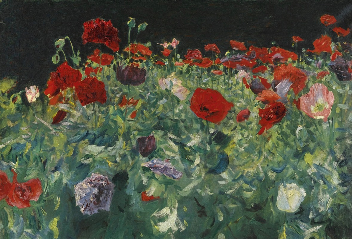 John Singer Sargent - Poppies (A Study of Poppies for Carnation, Lily, Lily, Rose)