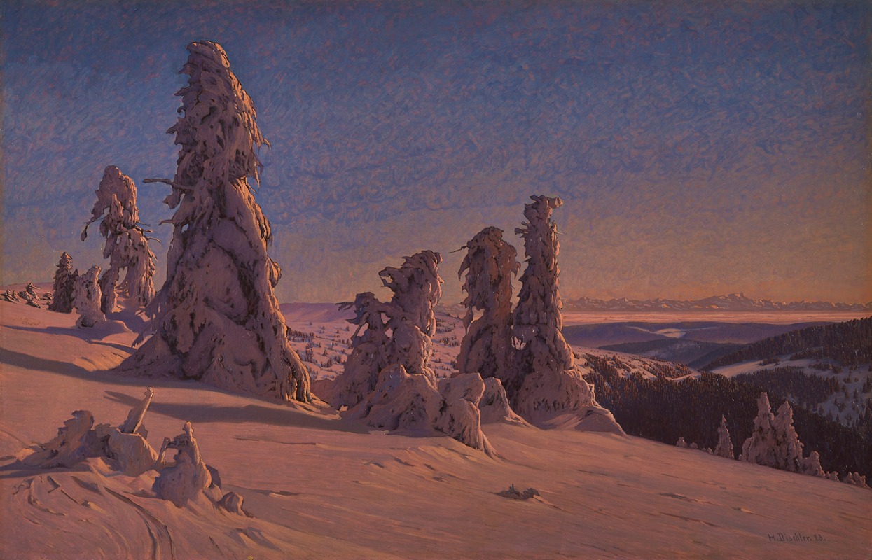 Hermann Dischler - Frozen Fir Trees on the Feldberg