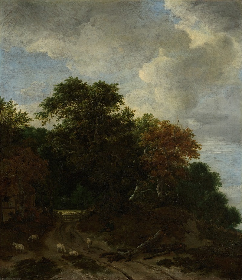 Jacob van Ruisdael - Forest Landscape