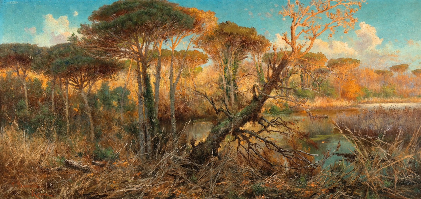 Pietro Barucci - In the Pontine Marshes