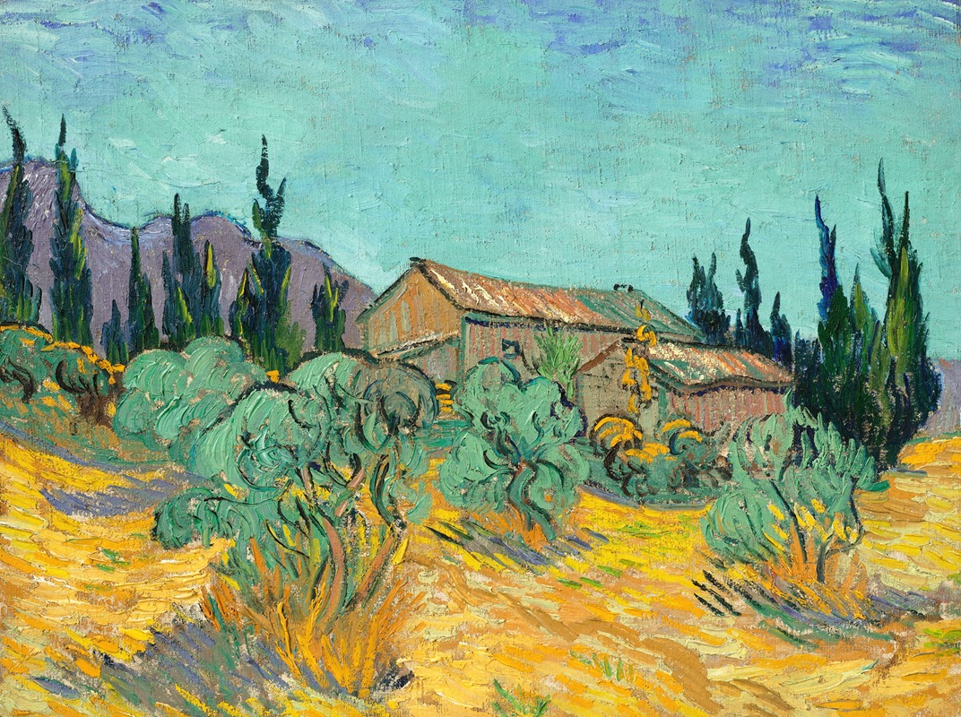 Vincent van Gogh - Cabanes de bois parmi les oliviers et cyprès