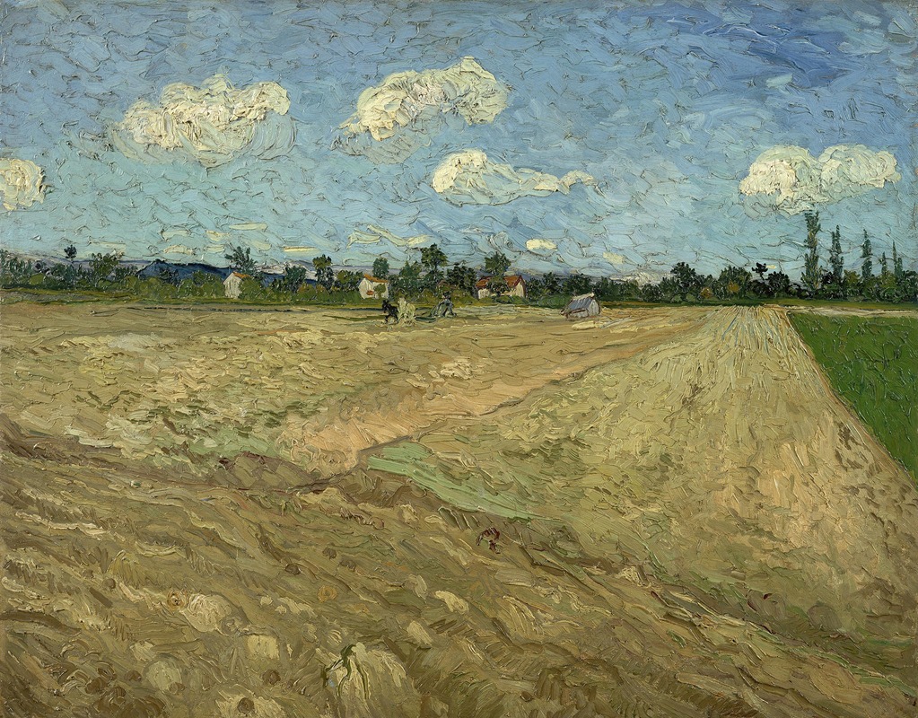 Vincent van Gogh - Ploughed fields (‘The furrows’)