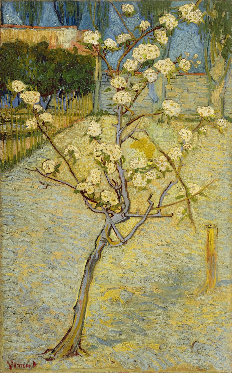 Vincent van Gogh - Small pear tree in blossom