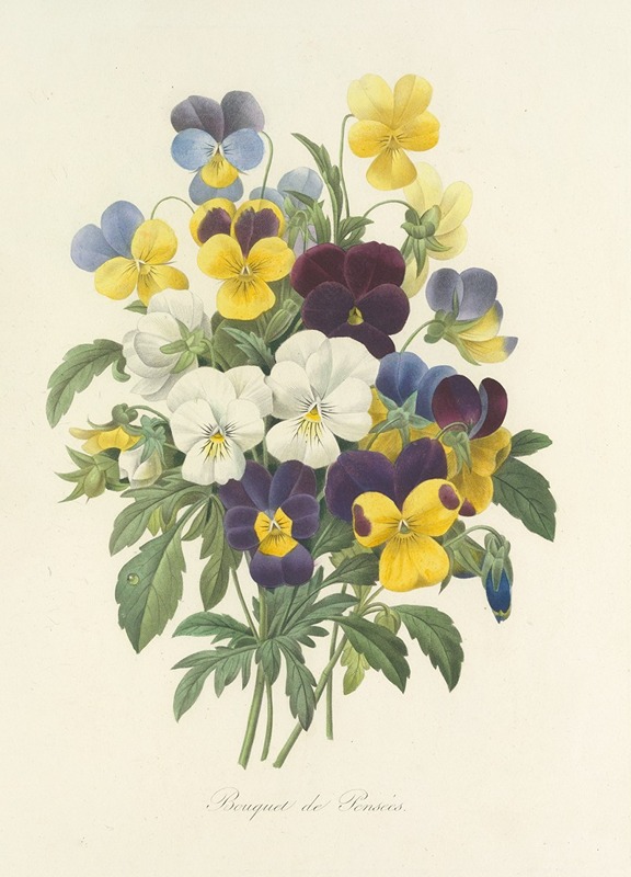 Choix des plus belles fleurs pl 067 by Pierre Joseph Redouté - Artvee