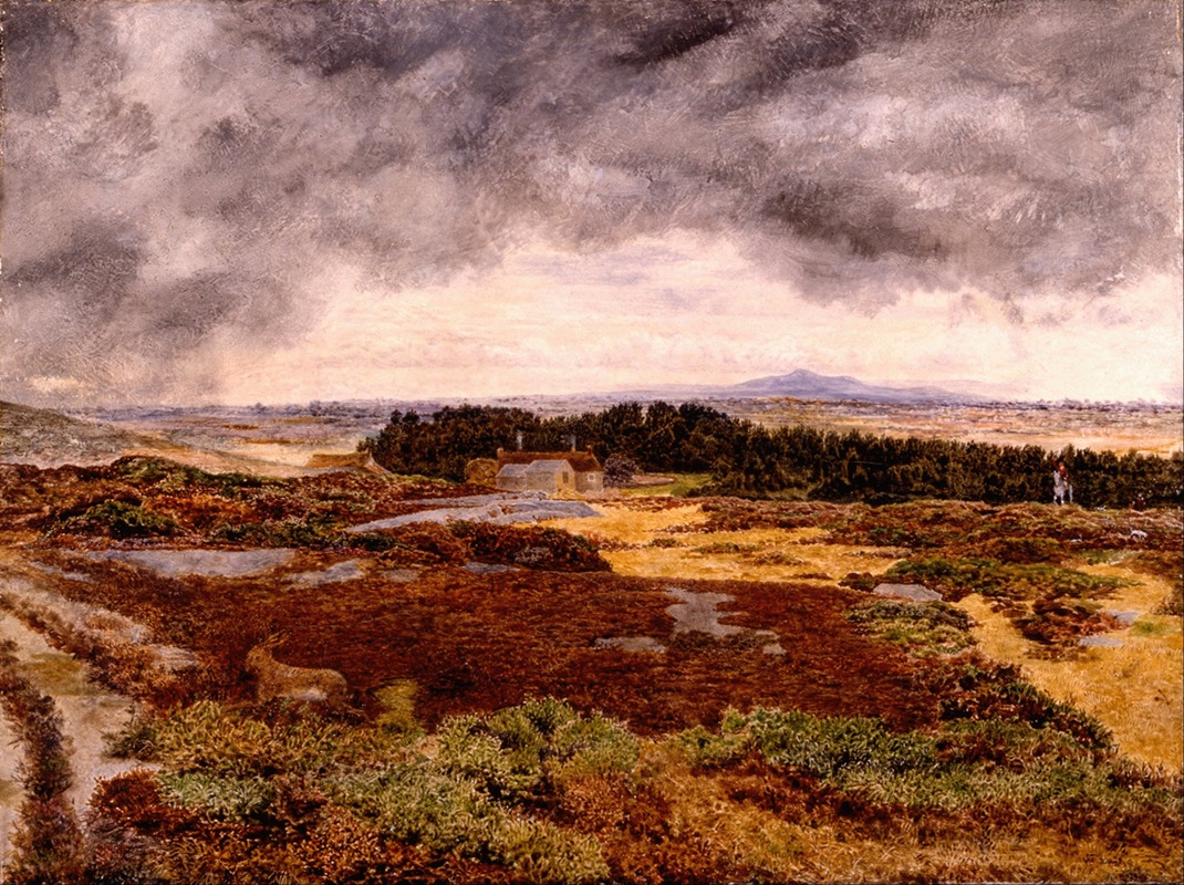 William Davis - View from Bidston Hill
