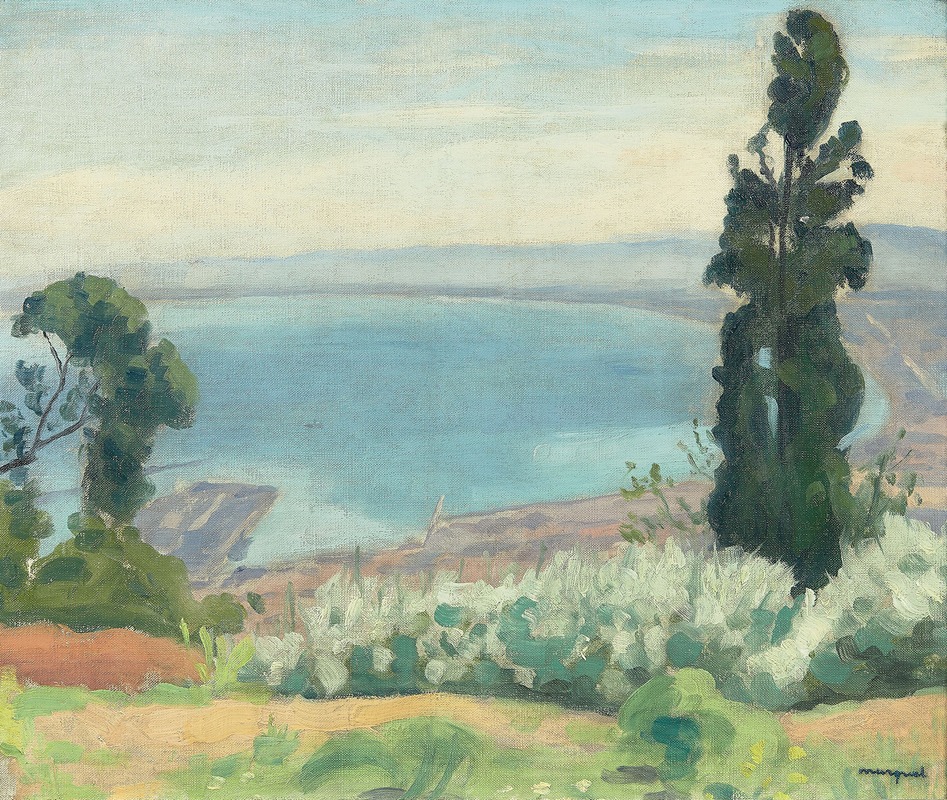 Albert Marquet - Baie d’Alger vue d’El Biar