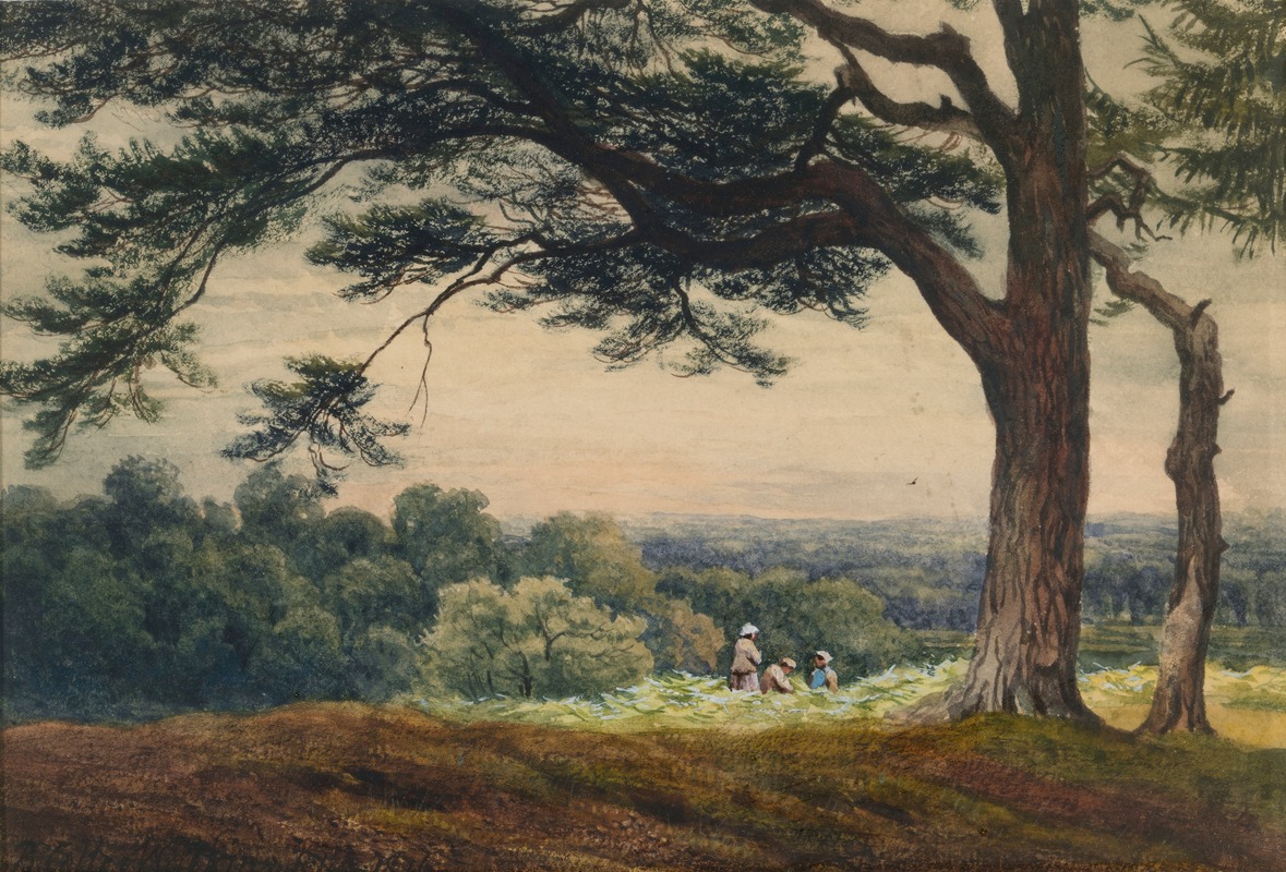 Bartholomew Colles Watkins - A Hill near Esher, Surrey