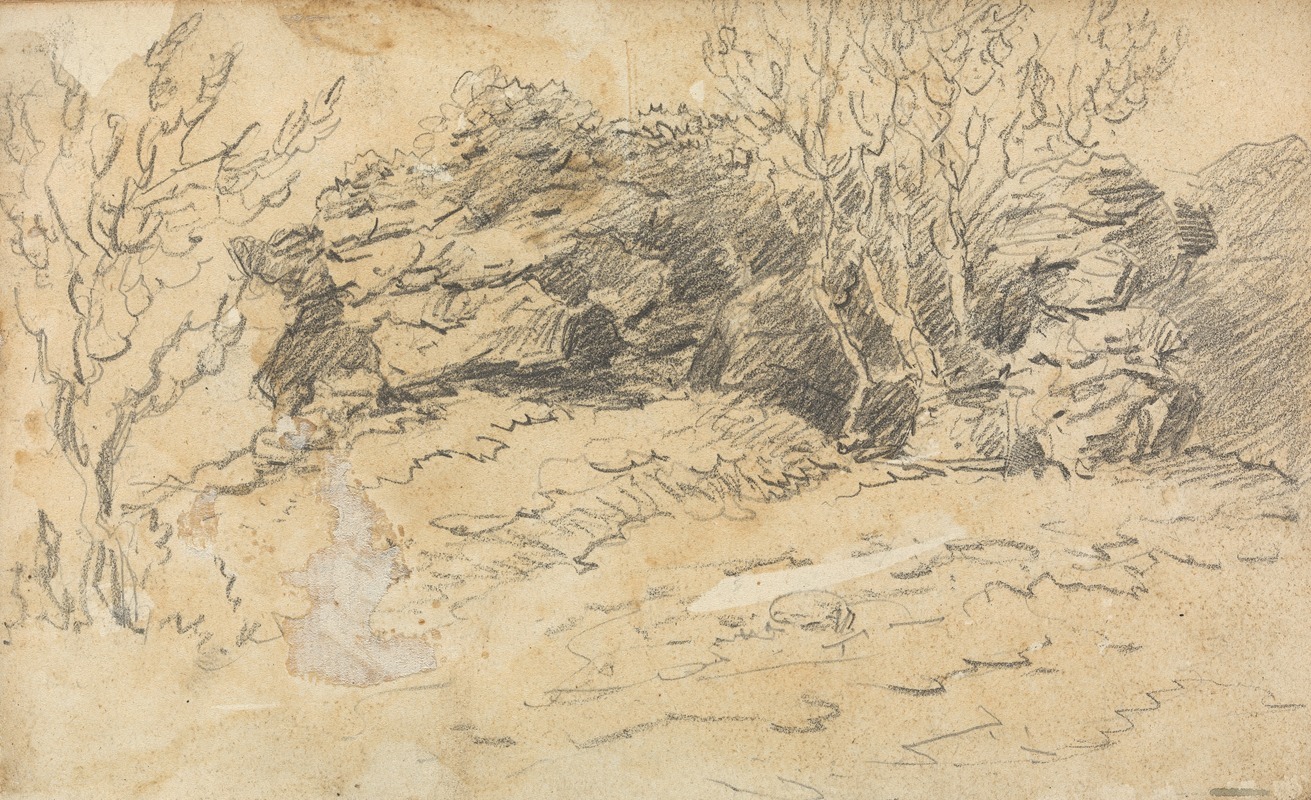 Thomas Bradshaw - Sketch of Trees and Rocks