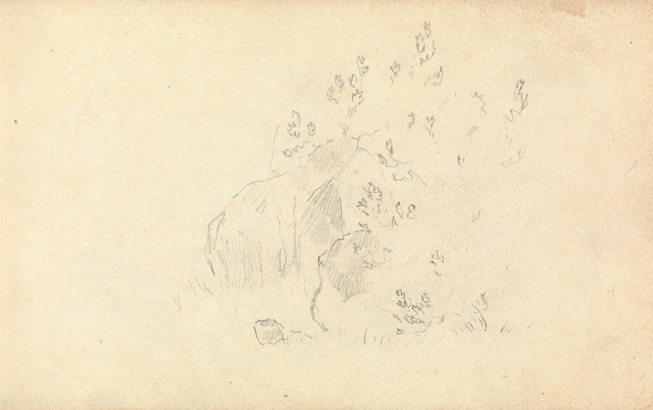 Thomas Bradshaw - Slight Sketch of Rocks and Leaves