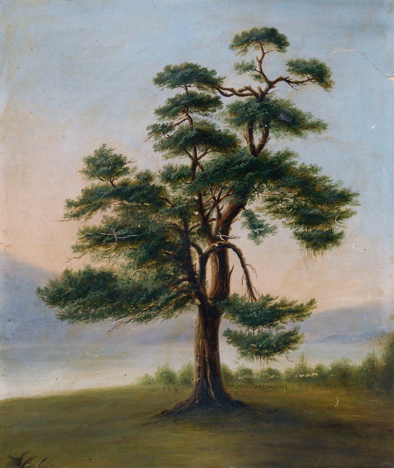 F. Bindon Burton - Cedar Tree