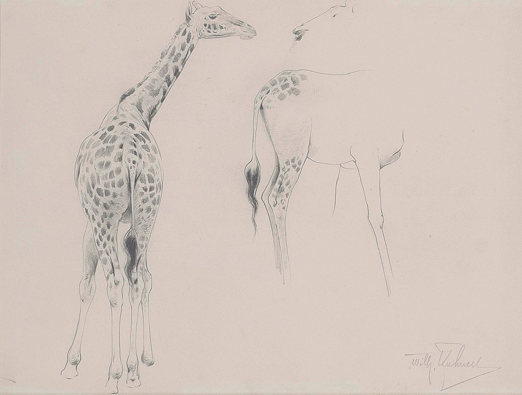 Wilhelm Kuhnert - A study of two giraffes