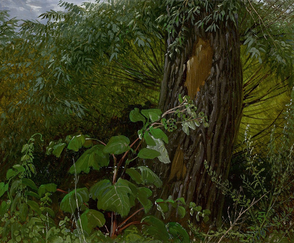 Carl Gustav Carus - Weidenstamm mit Unterholz