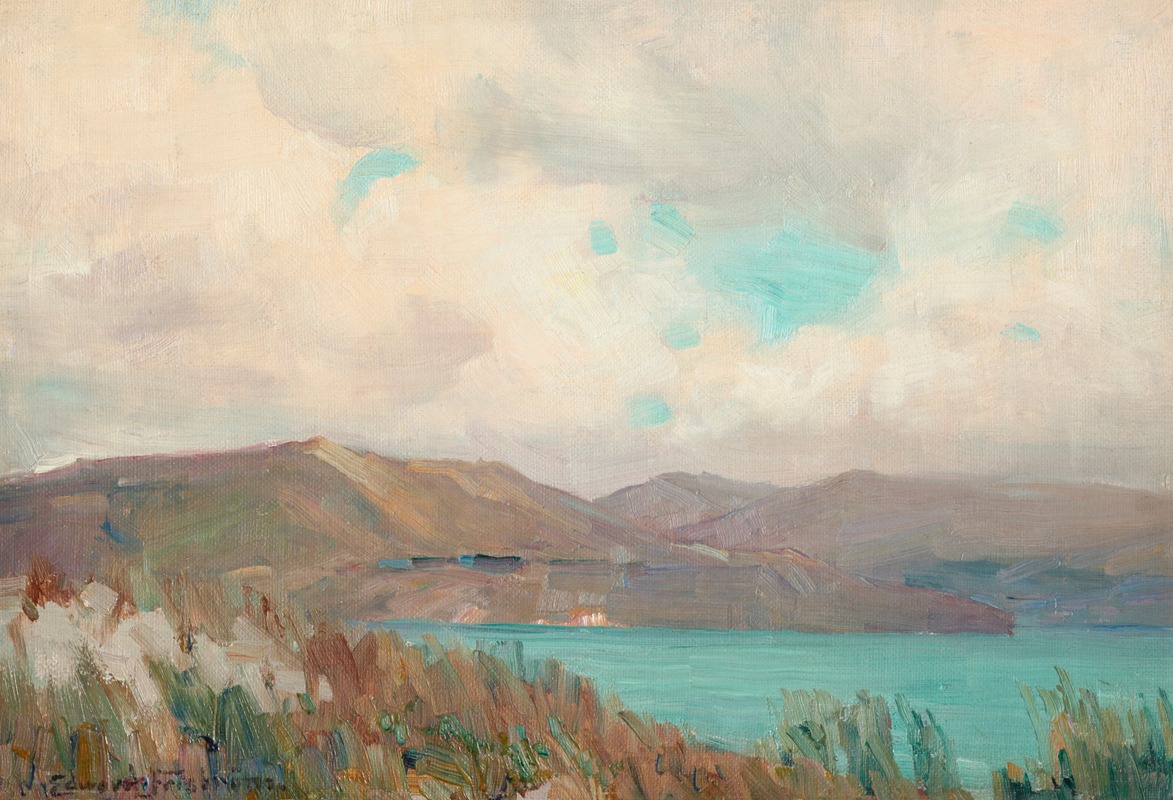Edward Friström - Wellington Harbour from Muritai
