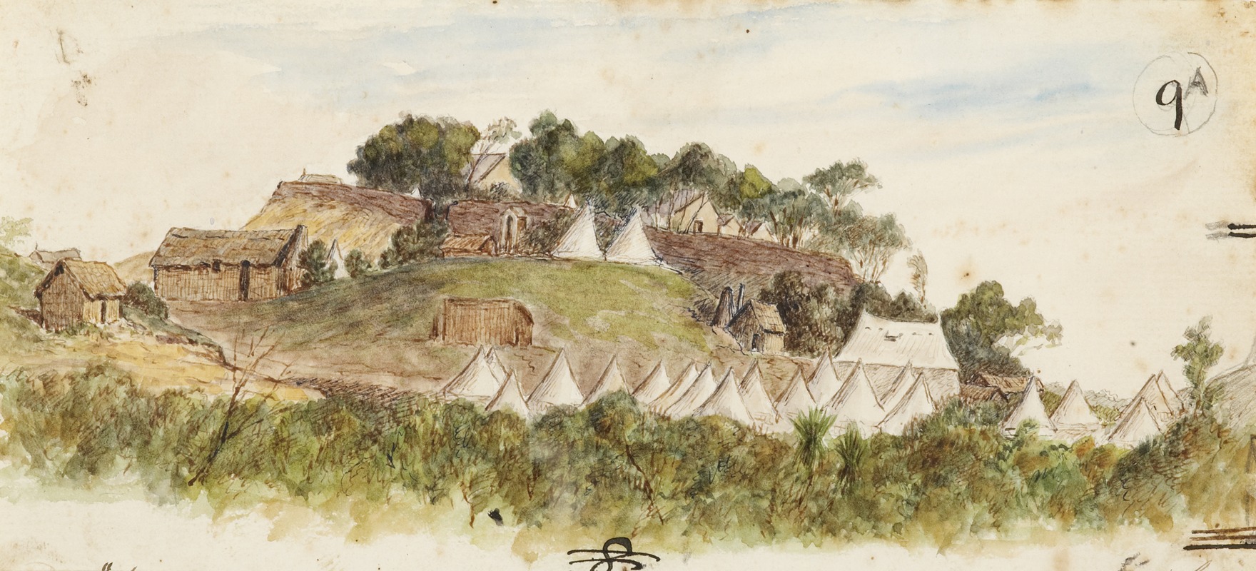 George Sherriff - Camp at Pungarehu