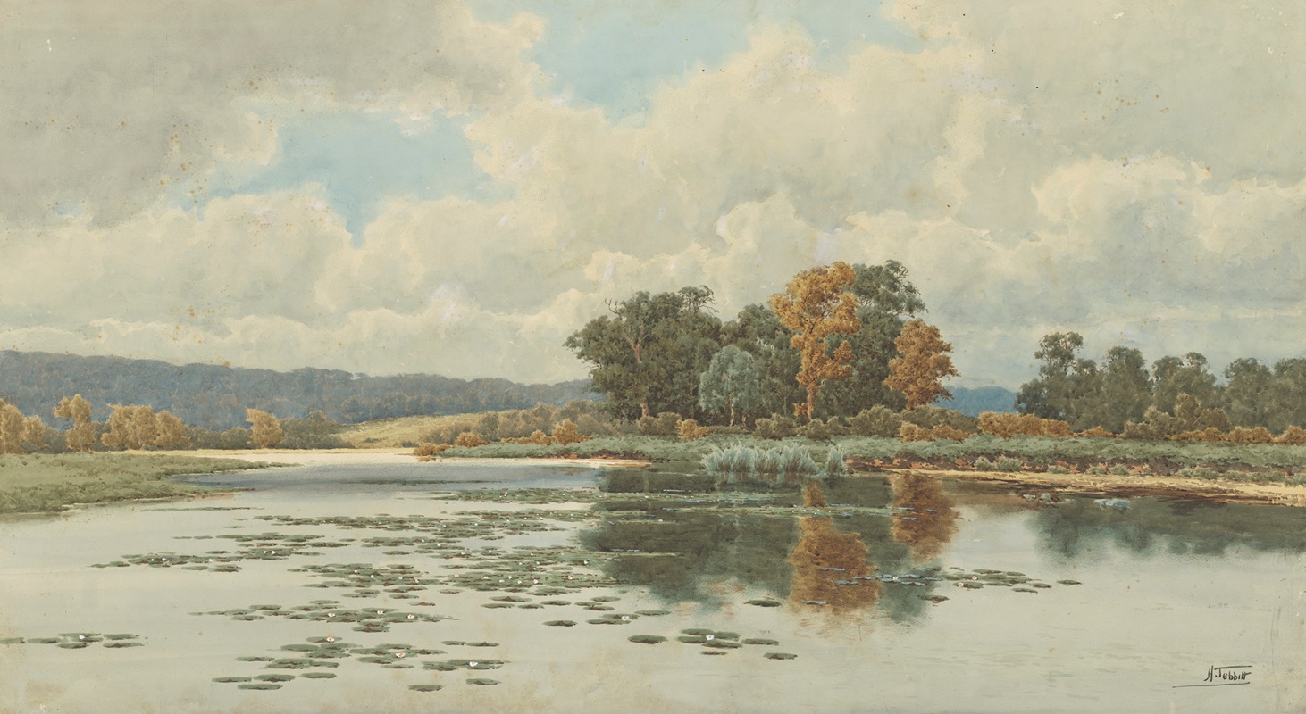 Henri Tebbitt - Pangbourne Woods, Upper Thames