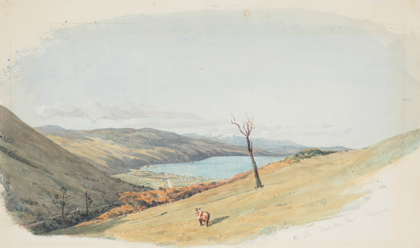 James Crowe Richmond - Wellington, Thorndon Flat, Tararua