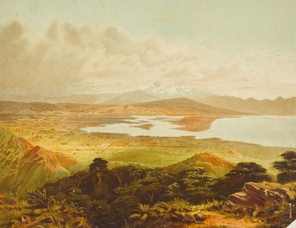 John Gully - Waimea Plains and cultivated country near Nelson