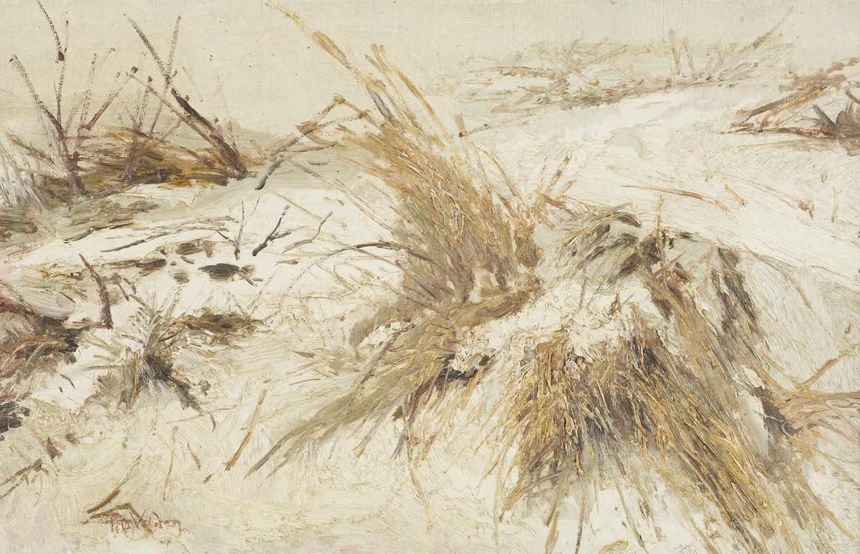 Petrus van der Velden - Snow on the sand dunes