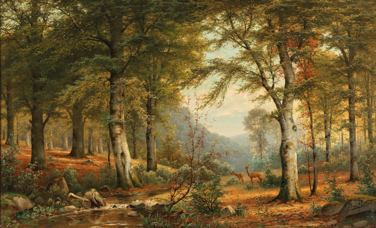 Jacobus Johannes van Poorten - Roe deer in the forest