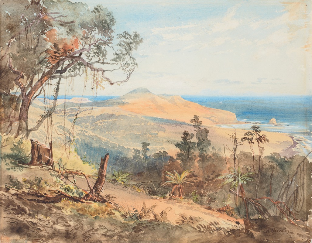 Nicholas Chevalier - Sandfly Bay and Gull Rock near Dunedin