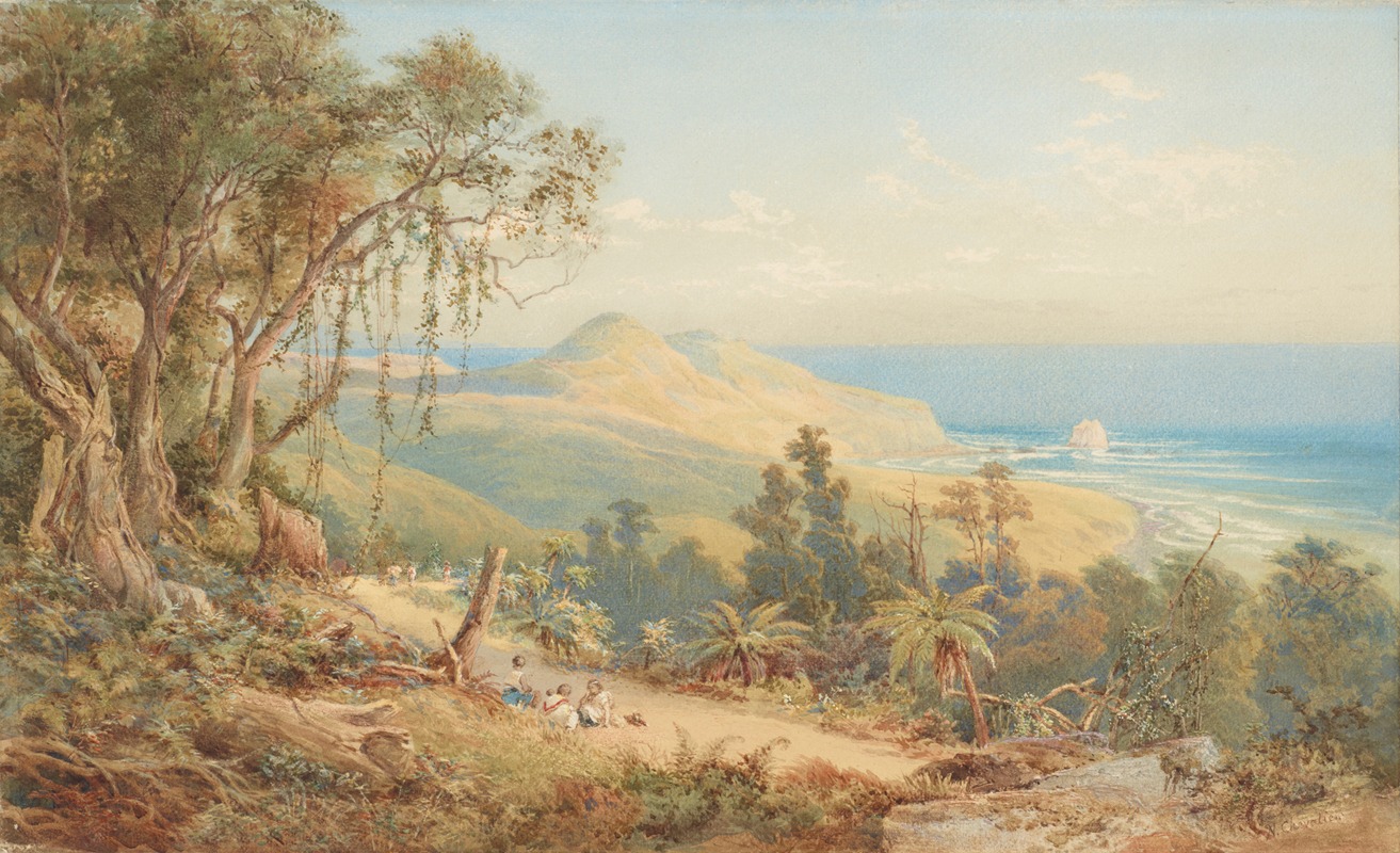 Nicholas Chevalier - Sandfly Bay, Otago