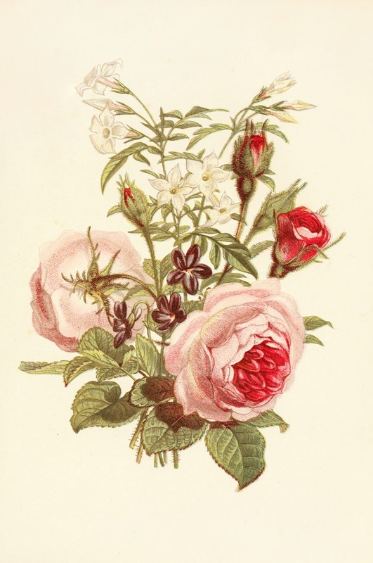 Robert Tyas - Moss Rose, Sweet-scented Violet, White Jasmine