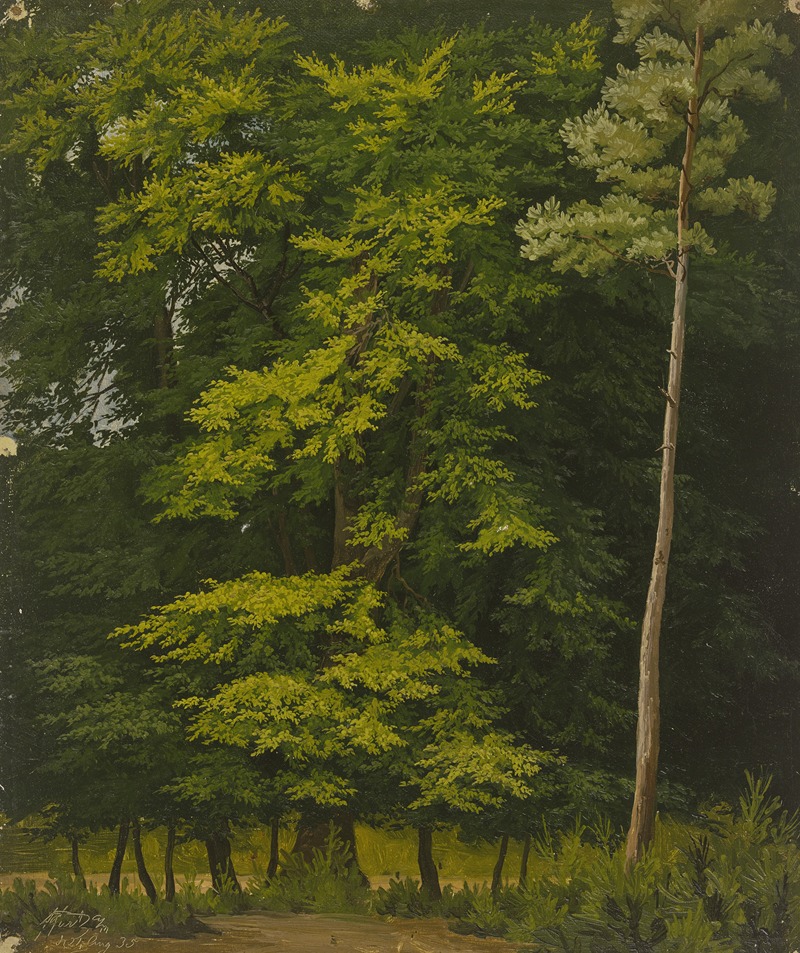 Christian Heerdt - Broadleaf forest (study in oil)