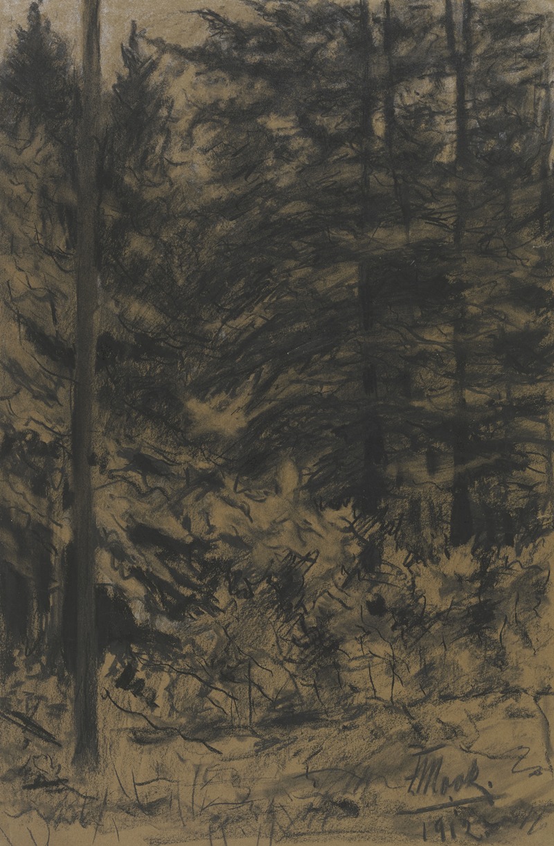 Friedrich Mook - Fir trees