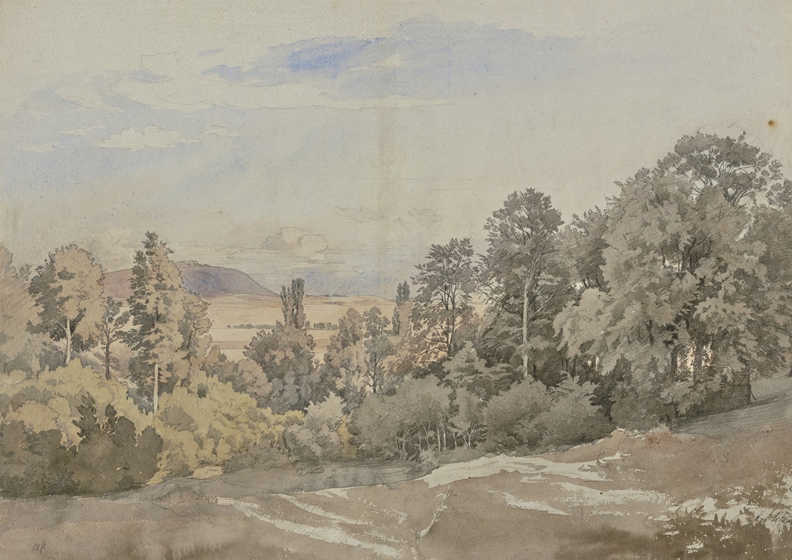 Johann Wilhelm Schirmer - Forest with distant view