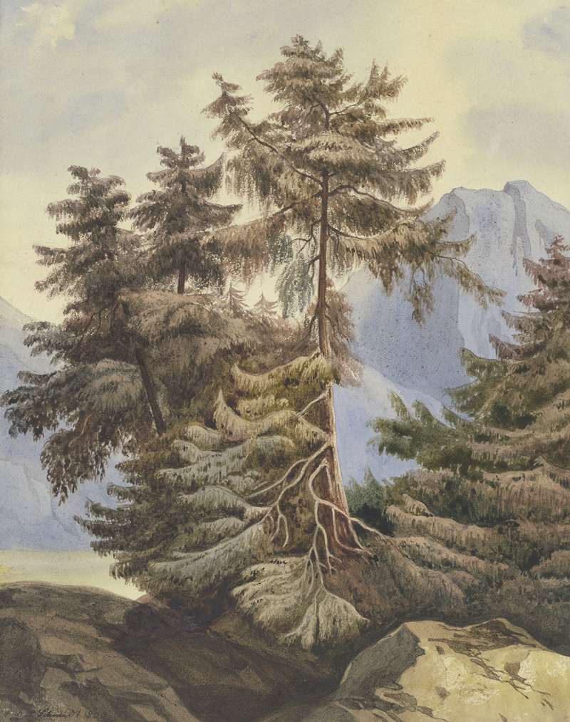 Ludwig Daniel Philipp Schmidt - Three fir trees in the mountains