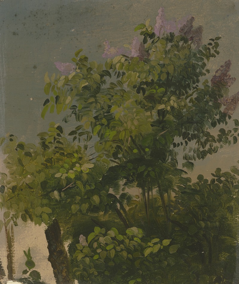 Philipp Rumpf - Blooming lilac bush