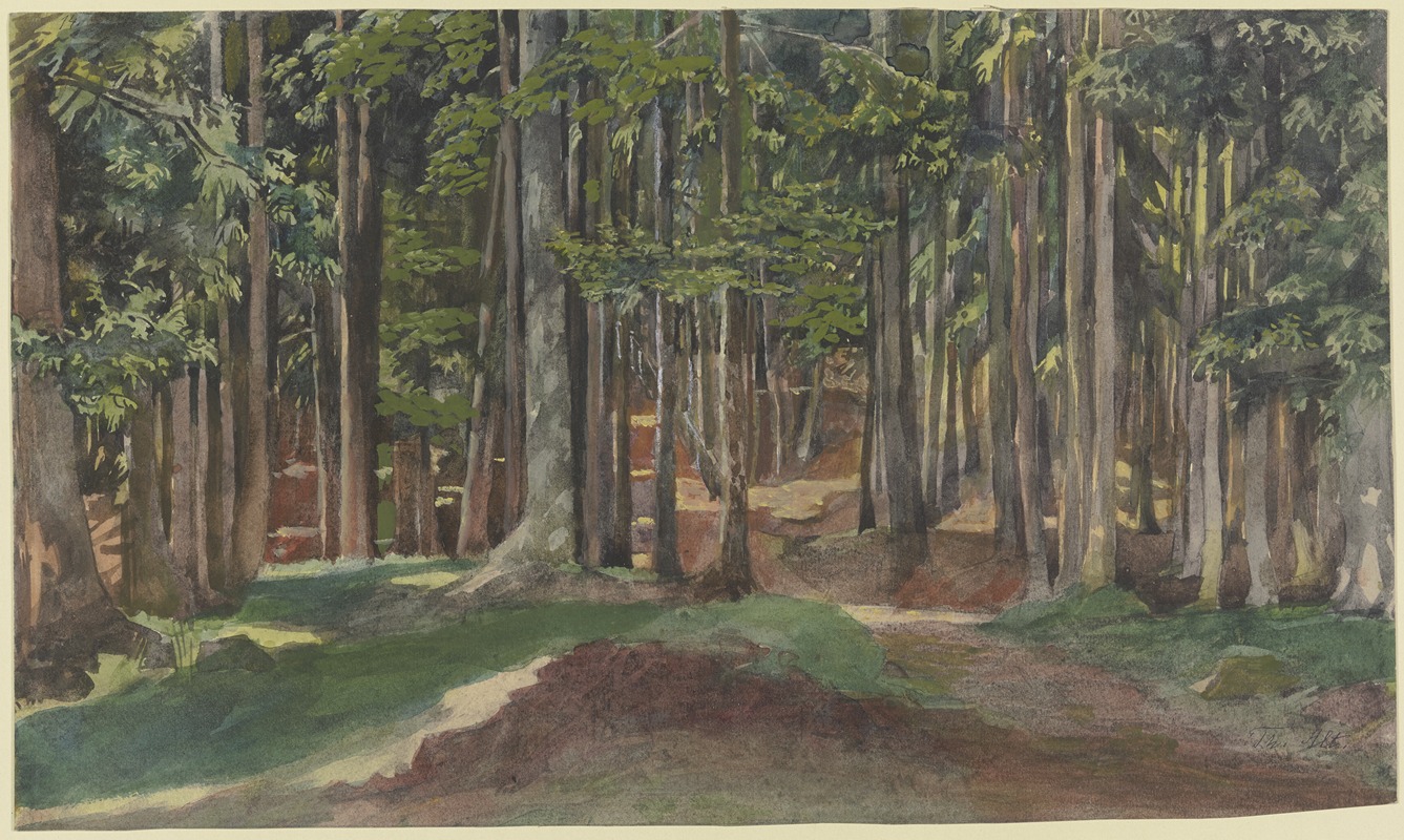 Theodor Alt - Inside a forest