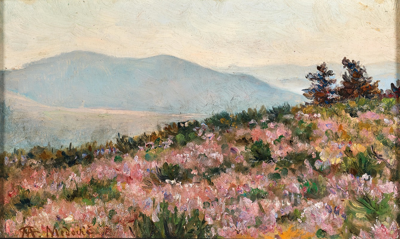 Mato Celestin Medovic - A View of Pelješac with Heather in Bloom