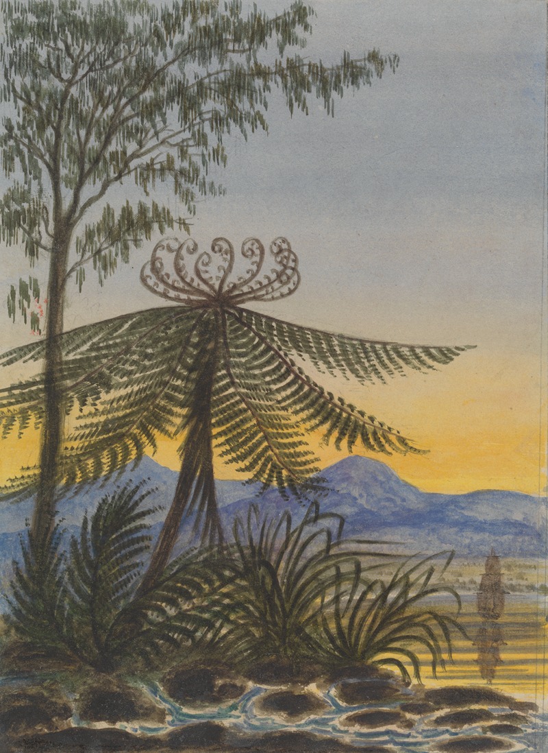 Lt. Gen. Charles Emilius Gold - View near Auckland: Evening-Trees and Ferns