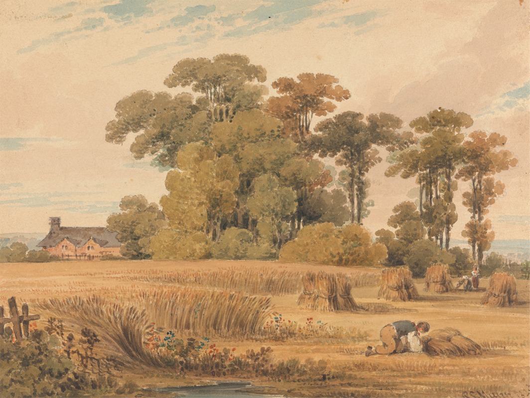 Paul Sandby Munn - A Cornfield