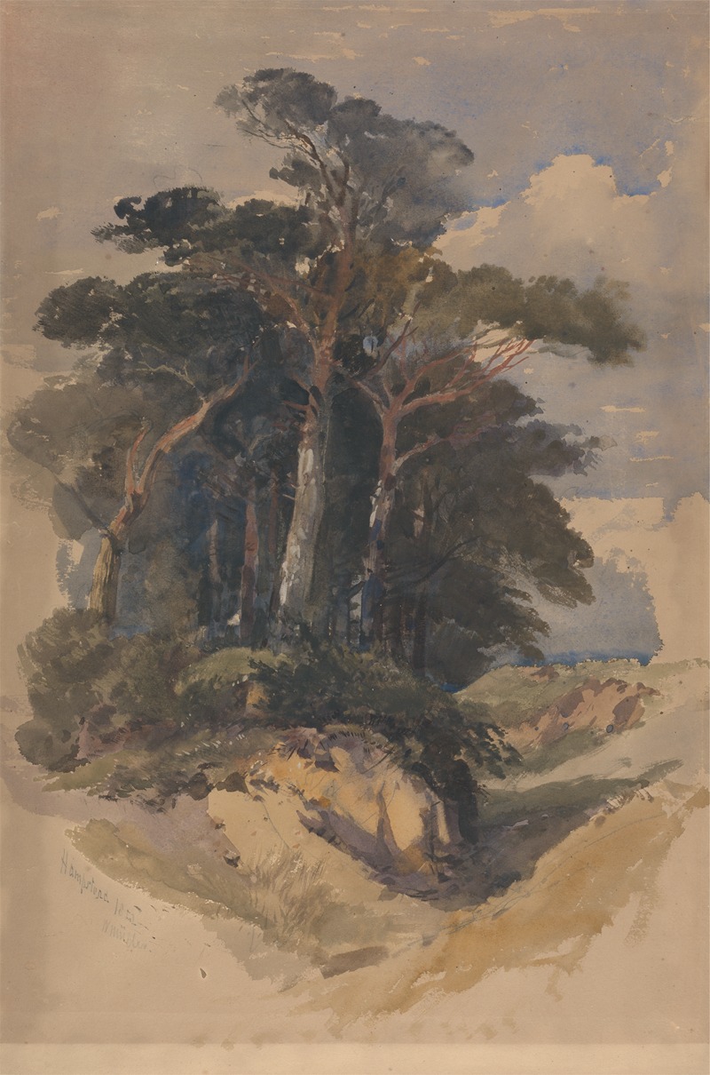 William James Müller - Pines on Hampstead Heath