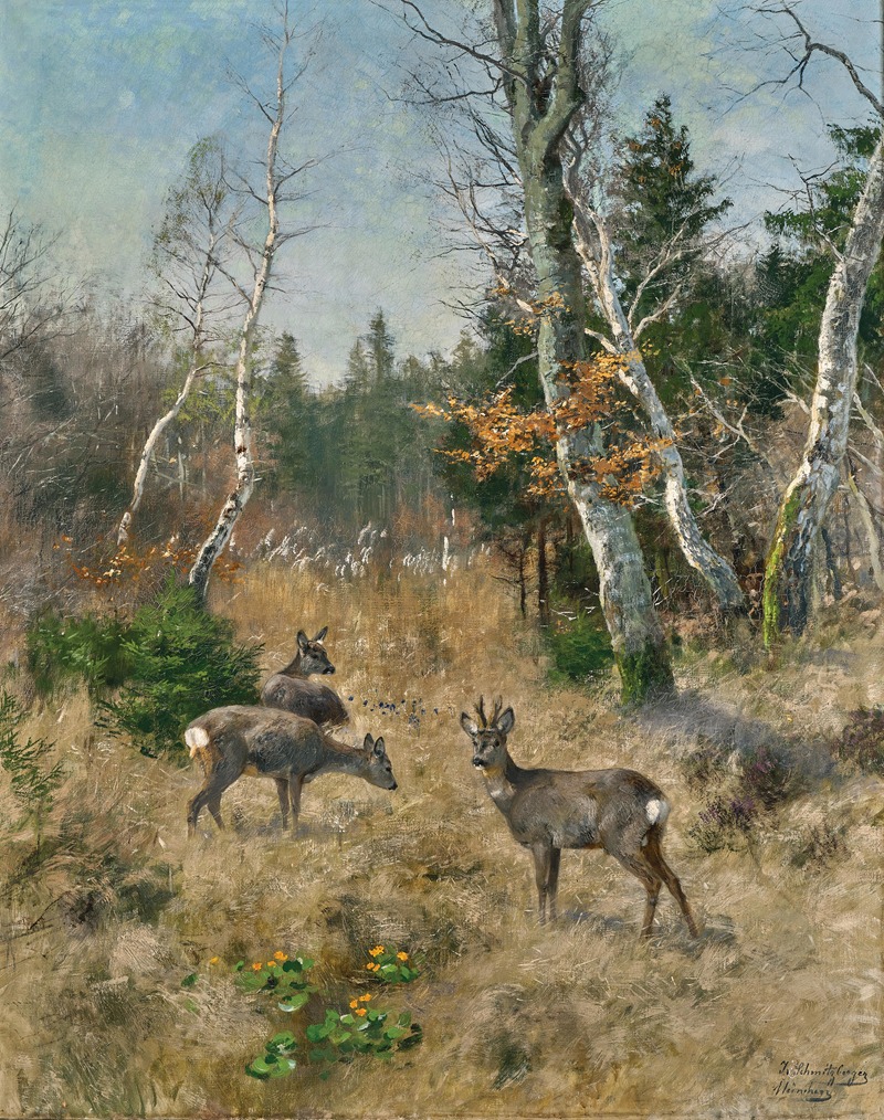 Josef Schmitzberger - Red Deer in a Forest Glade