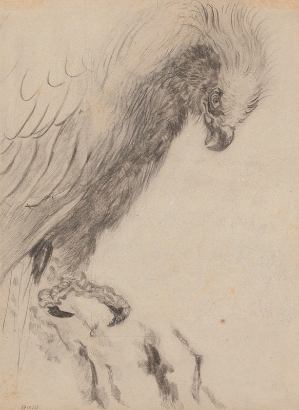James Ensor - Chinoiserie, a Bird of Prey