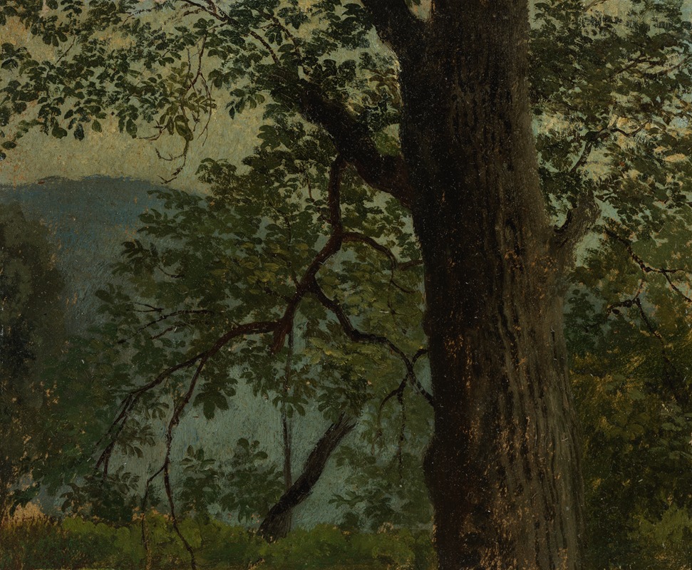 Georg Wilhelm Issel - Studie eines Eichbaums