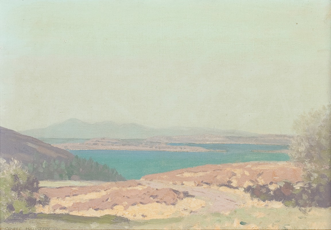 George Houston - The Clyde from above Fairlie