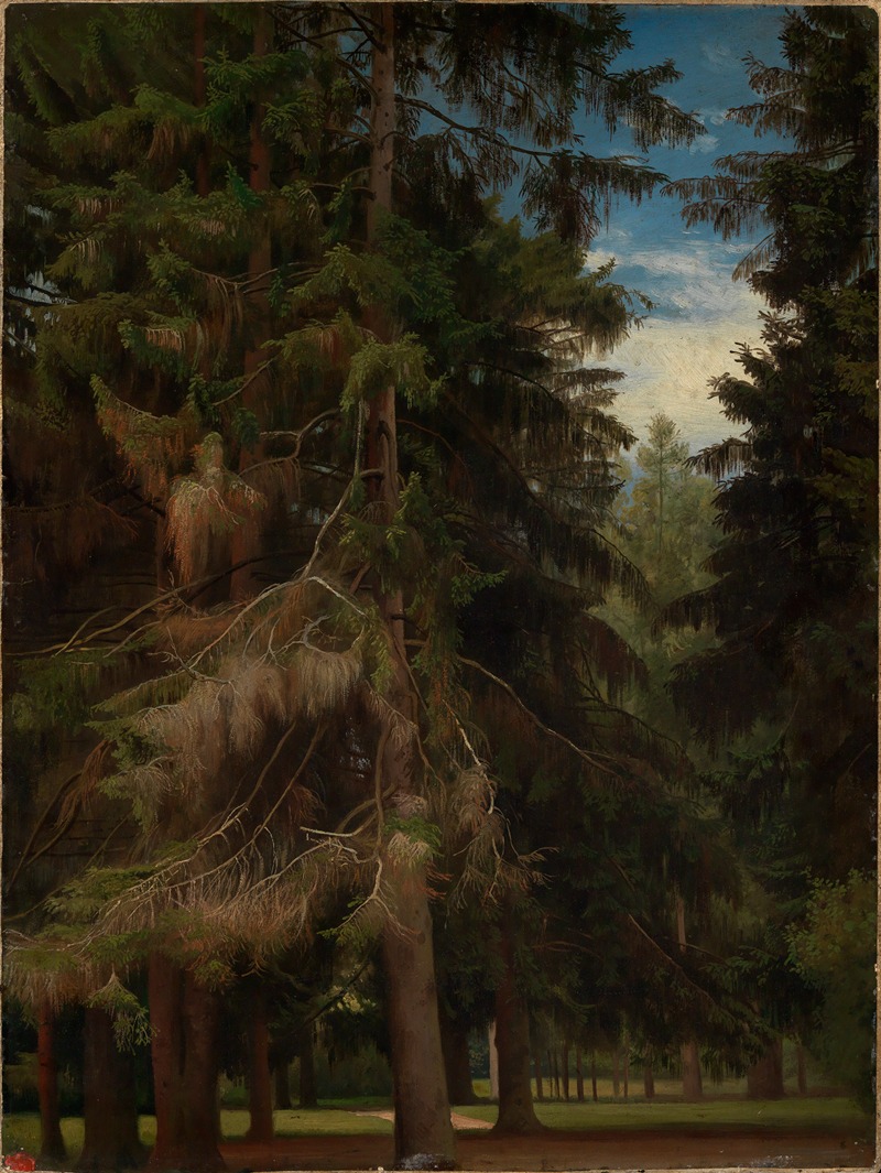 Johann Wilhelm Schirmer - Lichtung im Tannenwald