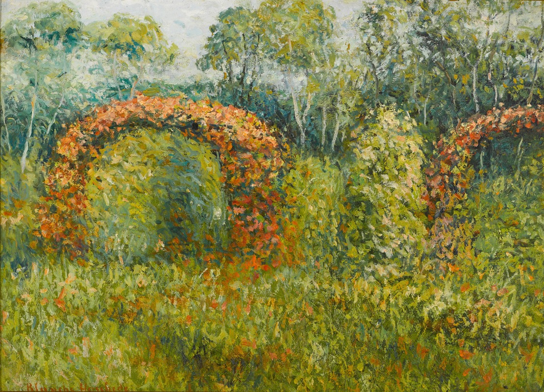 Blanche Hoschedé-Monet - La roseraie à Giverny